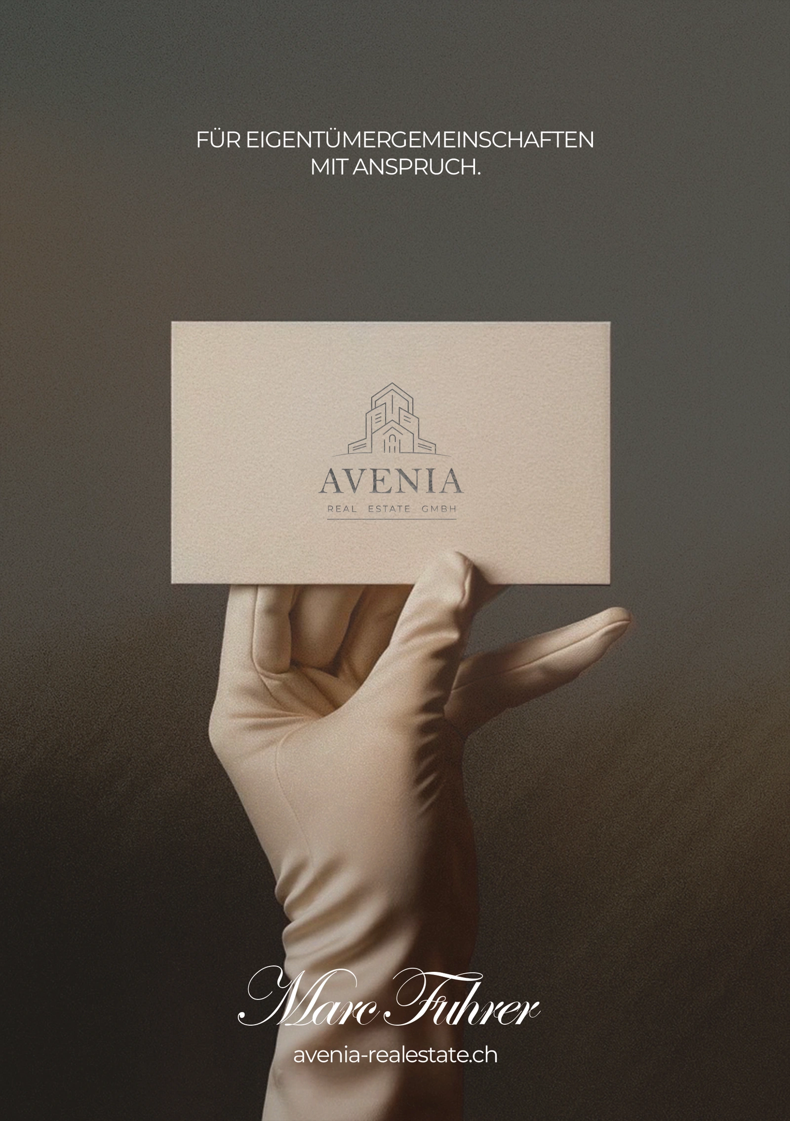 Avenia brand identity and printed flyer